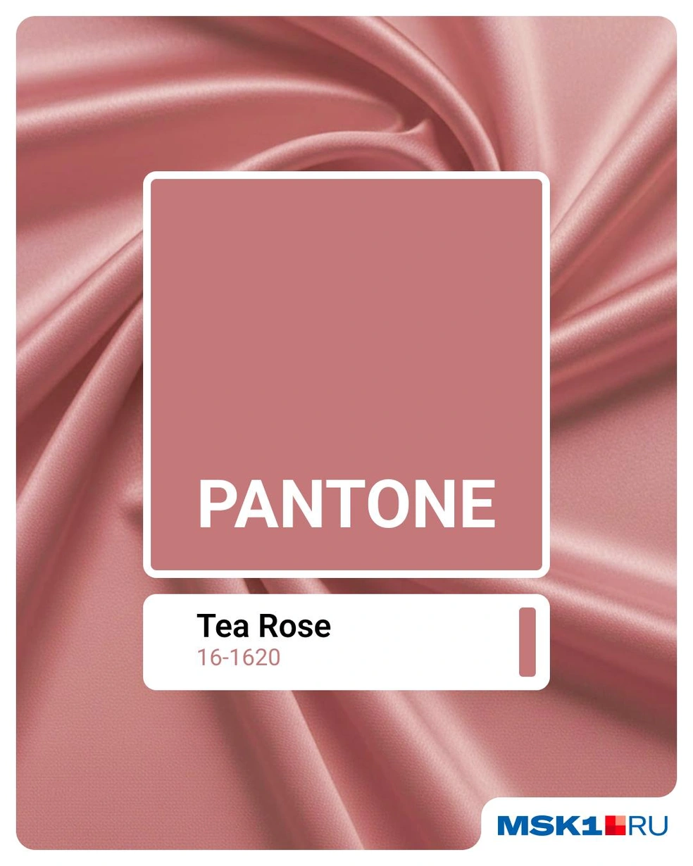 Tea Rose&nbsp;— оттенок кораллового | Источник: Евгения Бикунова / Городские медиа