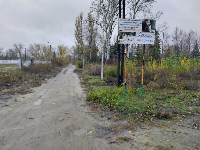 Современный вид парка | Источник: читатель 161.RU