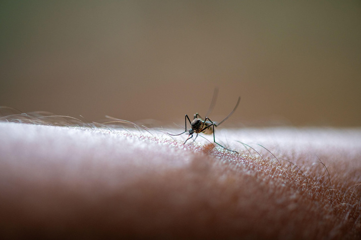 Средства от укуса комаров