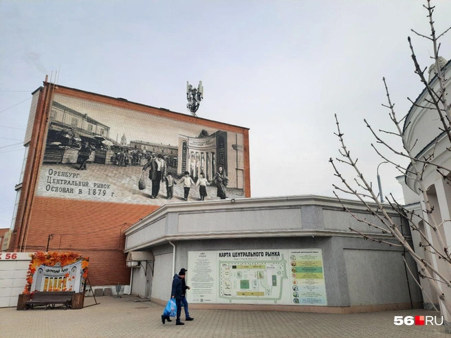 Источник: Анастасия Баринова / 56.RU