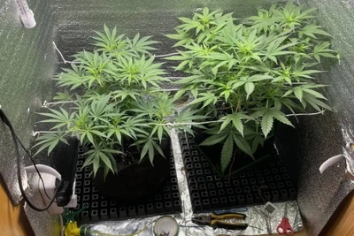 В Астрахани задержали подозреваемого в обороте наркотиков