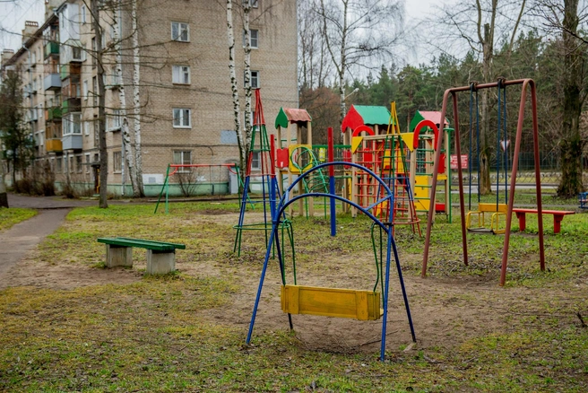 Заставочное фото | Источник: Александра Мамонтова / 76.RU