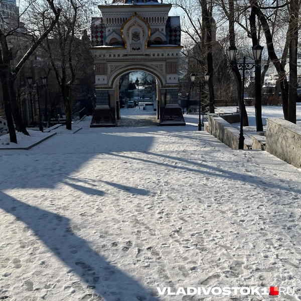 Источник: Елена Буйвол / VLADIVOSTOK1.RU