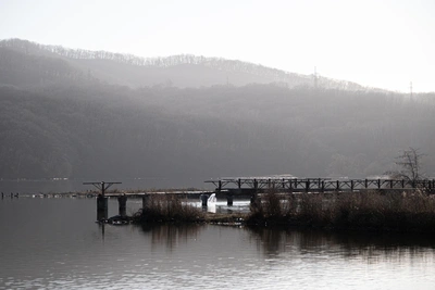 New longevity center in Primorye to offer VR psychotherapy and exoskeletons