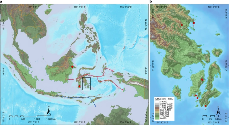 Пальцы заострили специально: в Индонезии нашли изображение руки — возможно, самое древнее в мире