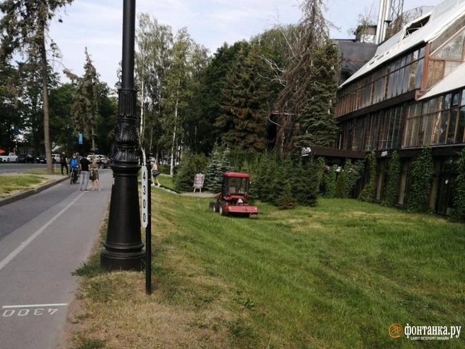 Источник: Читатель «Фонтанки» Роман