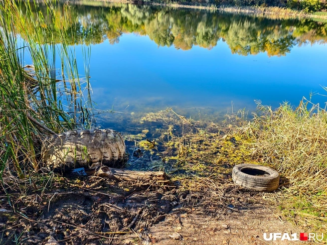 Берег выглядит не очень опрятно | Источник: Булат Салихов / UFA1.RU