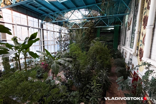 Источник: Елена Буйвол / VLADIVOSTOK1.RU