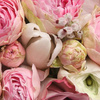 userpic__София