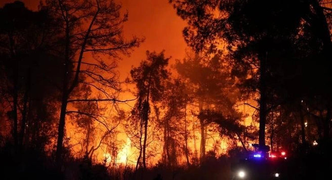 Люди не видят ни солнца, ни неба, только дым и огонь | Источник: Demokrat Gundem / X