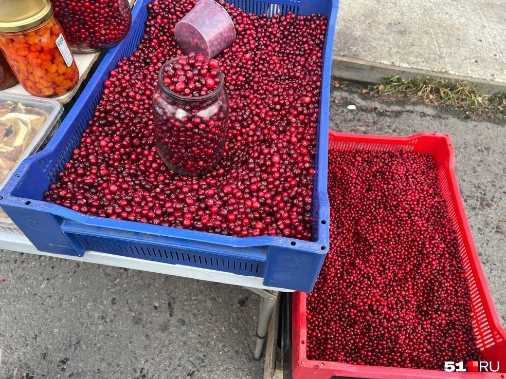 Ягод в лесу осталось мало | Источник: Александра Балаба