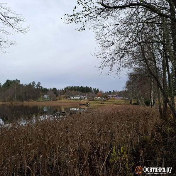 Источник: Ирина Багликова / «Фонтанка.ру»