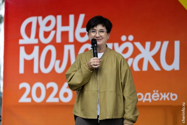 Источник: st.cherinfo.ru