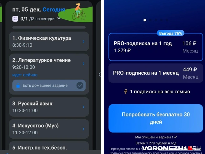 Источник: читательница Voronezh1.ru