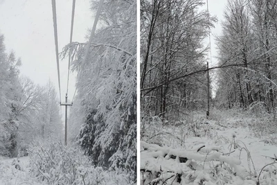 Деревни Ярославской области без электричества после непогоды