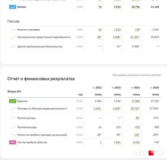 Согласно отчетам, за 2024 год чистая прибыль понизилась на 250% | Источник: «Контур.Фокус»