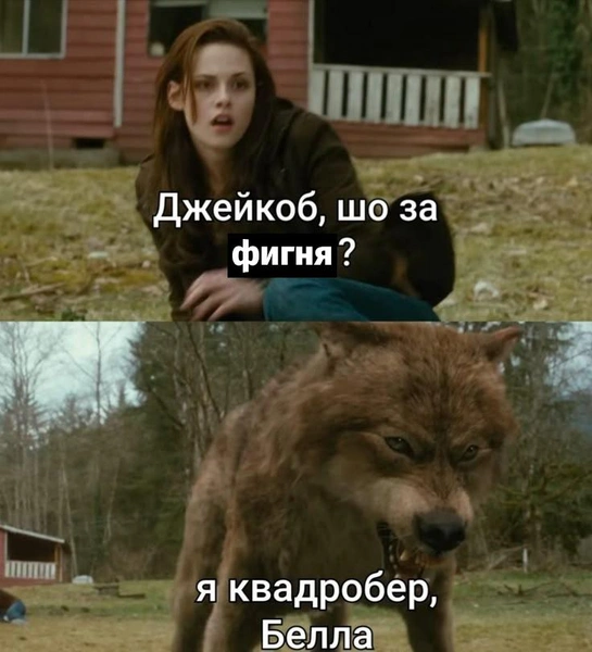 Источник: Соцсети