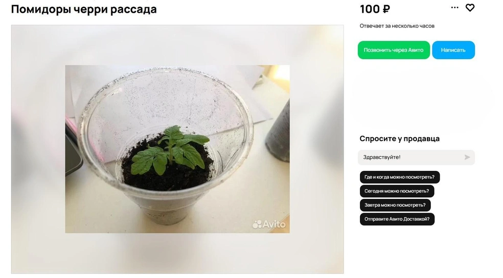 Источник: Avito.ru