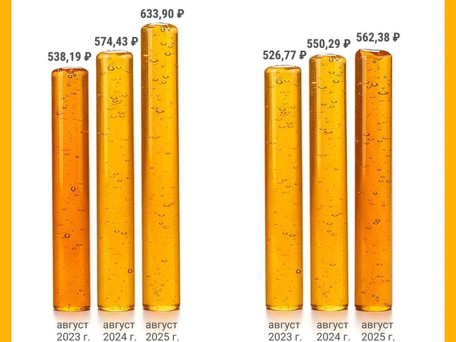 Источник: Юрий Орлов / Городские медиа