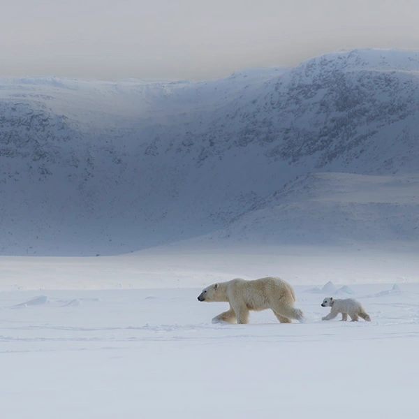 Финалист в номинации «Природа» | Источник: Xuejun Long / 1839 Awards Photographer of the Year 2025