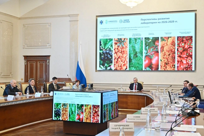 Заседание провел глава региона | Источник: www.nso.ru