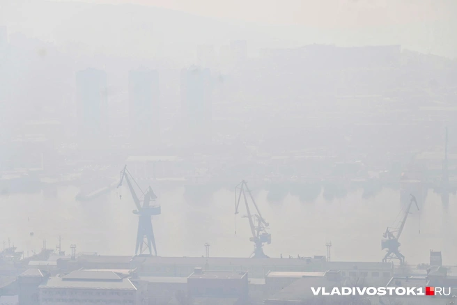Источник: Елена Буйвол / VLADIVOSTOK1.RU