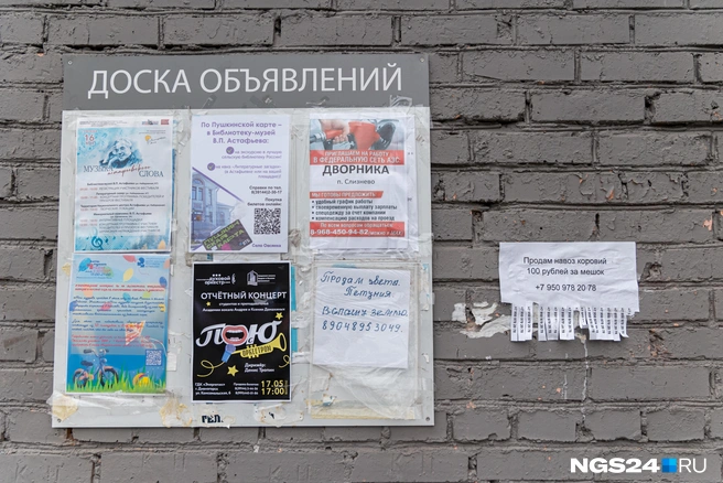 Культура культурой, а навоз для огорода закупать надо | Источник: Мария Ленц / NGS24.RU 