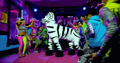 Источник: giphy.com