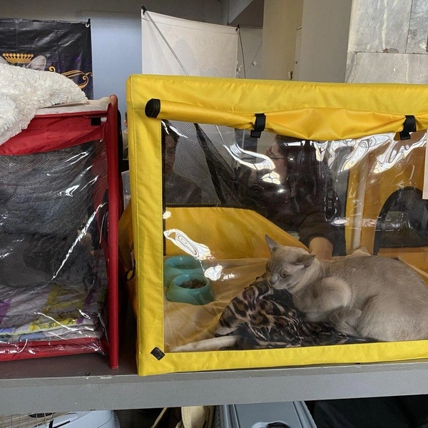 Источник: Ирина Господаренко / NGS22.RU