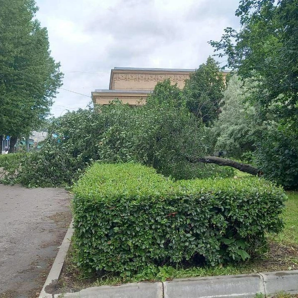 Источник: Комитет по благоустройству СПб