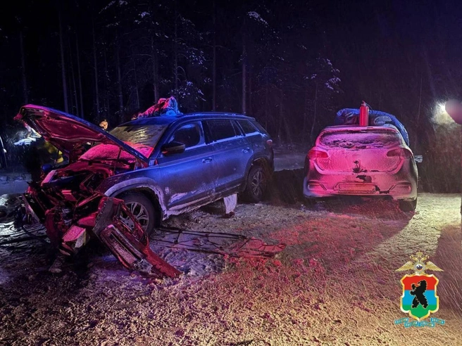 С обочины на встречку. Петербурженка ранена в ДТП с девятью пострадавшими в Карелии | Источник: Полиция Карелии