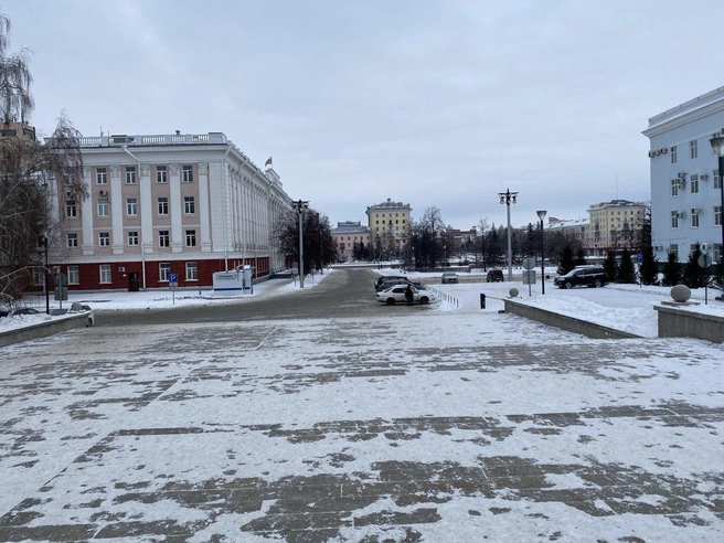 Источник: Ирина Господаренко / NGS22.RU