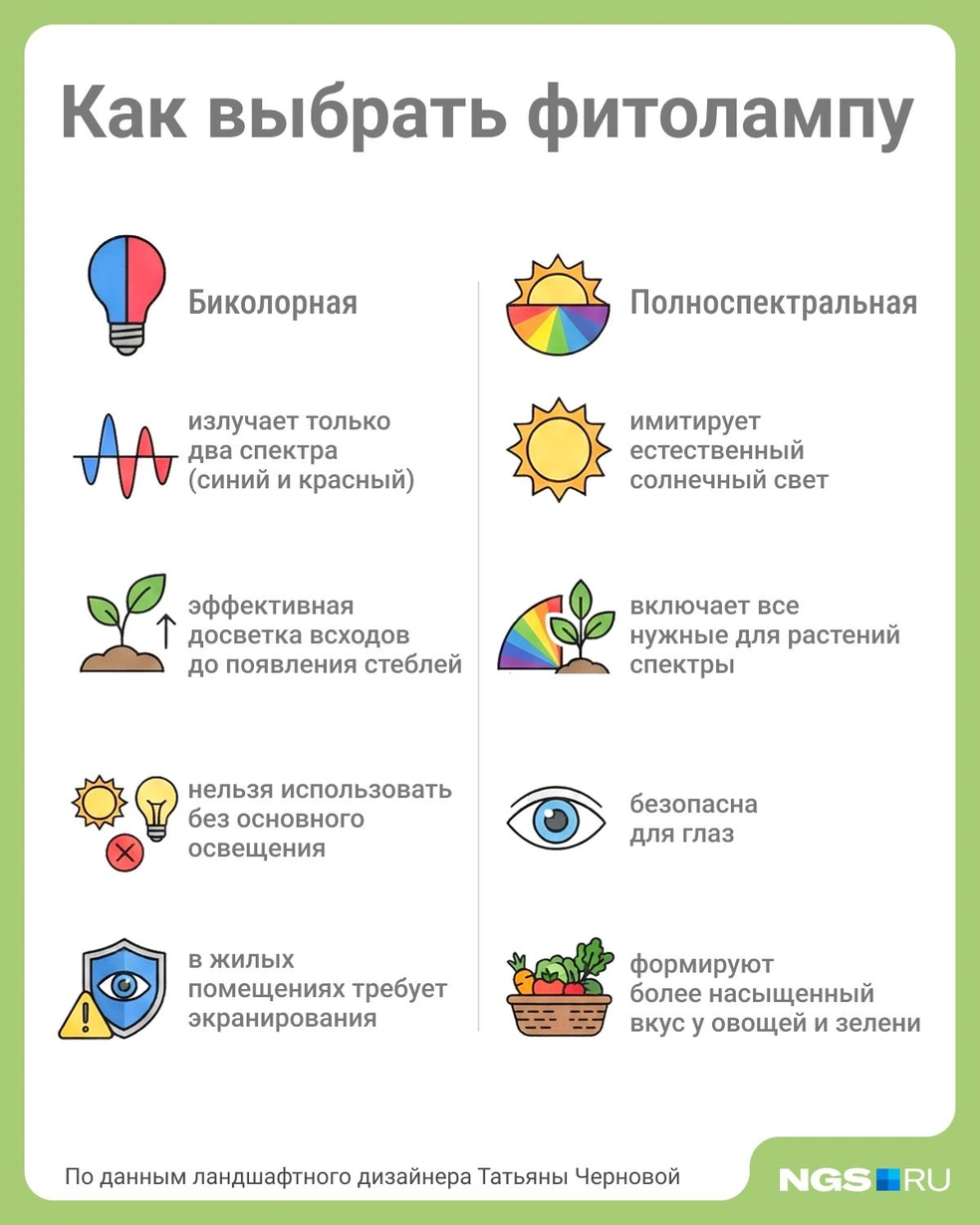 Источник: Юрий Орлов / Городские медиа