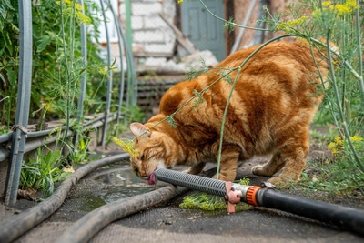 В Рязани отключили горячую воду в доме и детсаду