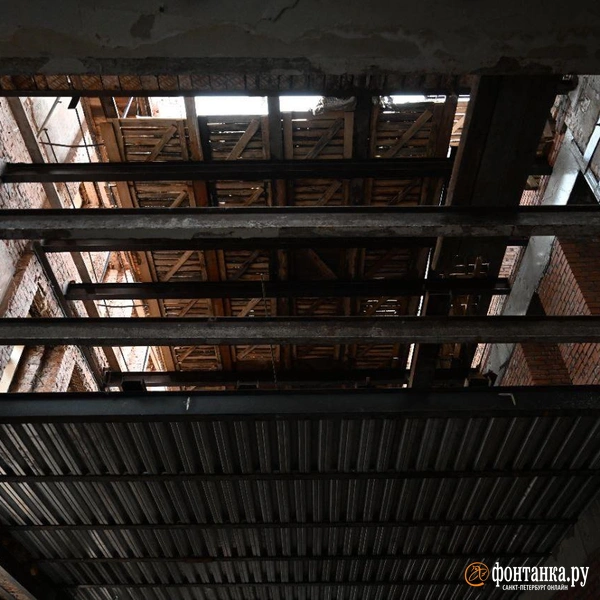 Источник: Андрей Бок / «Фонтанка.ру»