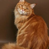 userpic__Мирослава