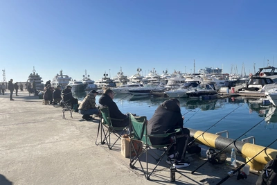 Две учебные стрельбы пройдут в Сочи вечером 20 декабря