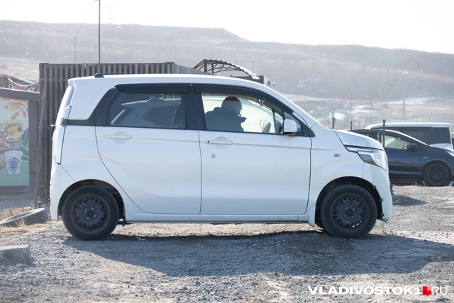 Похожих случаев несколько | Источник: Елена Буйвол / VLADIVOSTOK1.RU