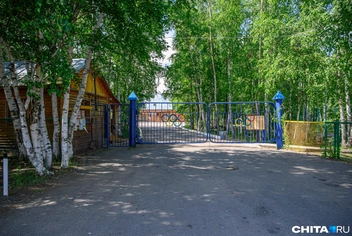 Директора спортивной школы и начальника детского лагеря осудили за нападение собаки на ребенка | Источник: Олег Федоров / CHITA.RU