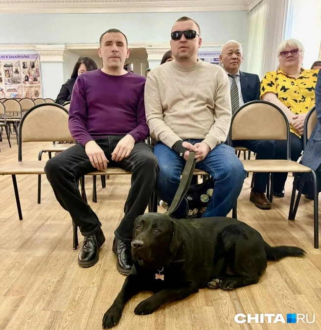Пес здесь не просто так | Источник: Егор Захаров / CHITA.RU