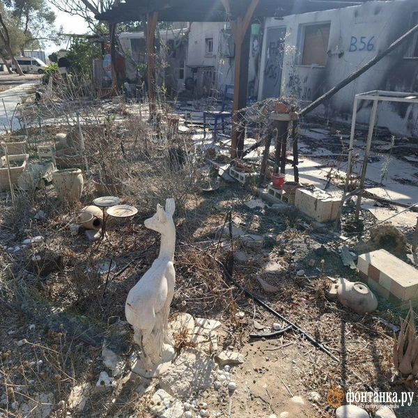 Источник: Ирина Багликова / «Фонтанка.ру»