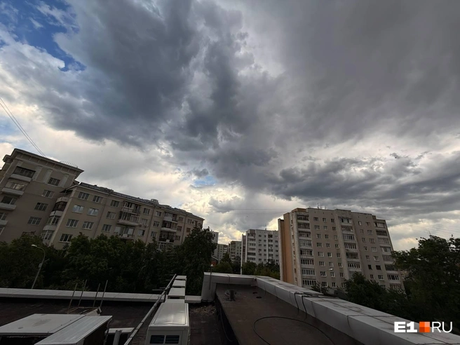 На Екатеринбург обрушился настоящий ураган, который крушил деревья и остановки. Фото и видео последствий | Источник: читательница E1.RU
