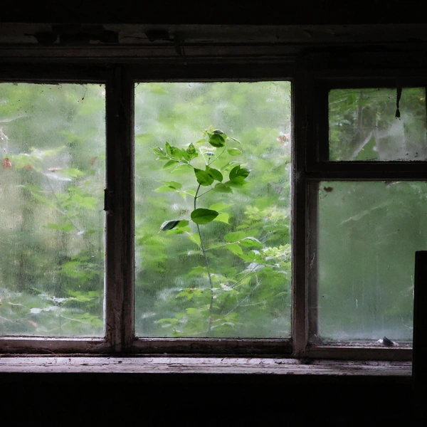 Природа за окном старается добавить немного красок этому пространству | Источник: Евгений Софийчук / NGS55.RU