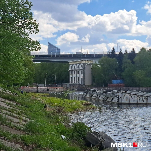 Источник: Арина Майорова / MSK1.RU