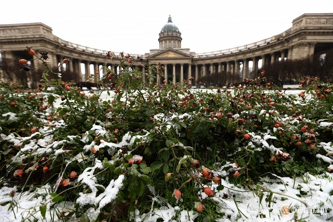 Синоптик Колесов рассказал, когда в Петербурге пойдет снег | Источник: Сергей Михайличенко / «Фонтанка.ру»