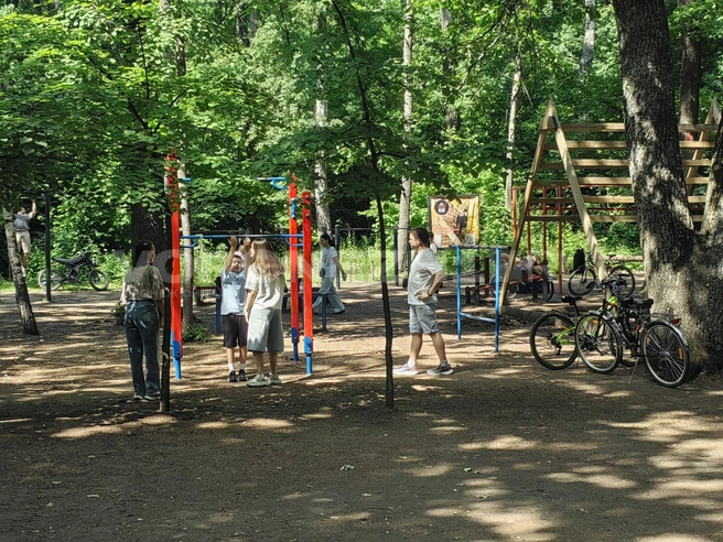 Источник: Андрей Пашинский / Voronezh1.ru