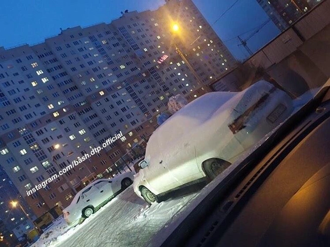 За подобные методы воспитания тоже грозит штраф | Источник: instagram.com / bash_dtp_official