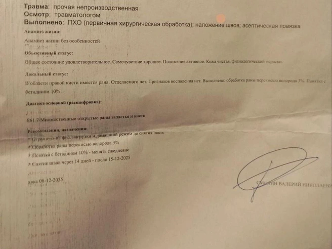 В результате инцидента ребёнок получил несколько открытых ран. | Источник: читатель E1.RU