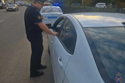 Воронежца с 200 штрафами задержали автоинспекторы