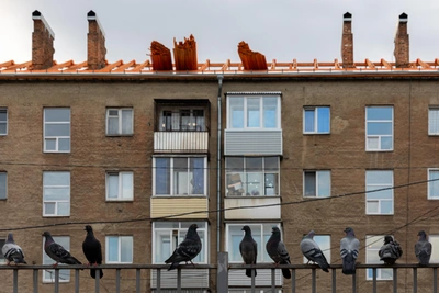 Алтайский край оформил ипотеку на 3,4 млрд рублей в марте